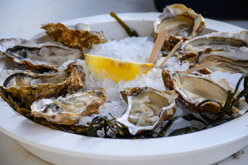 Fresh french Gillardeau oysters molluscs shucked on ice with lemon ready to eat close up