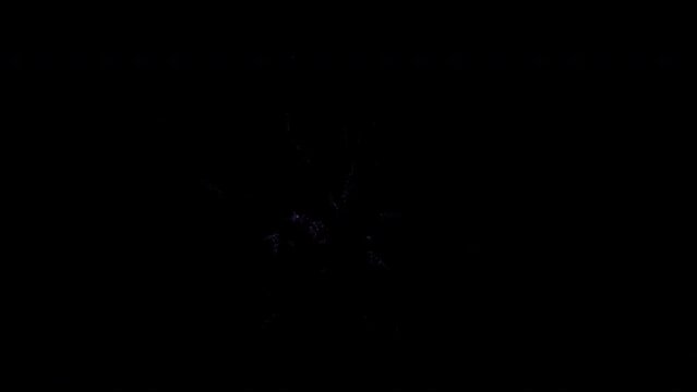 Purple fairy group flying and releasing sparkles, three sizes included, 4k 24p with alpha channel