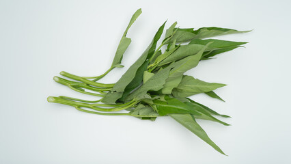 Fototapeta premium エンサイ・空心菜