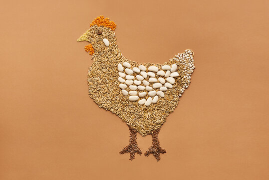 Creative composition of hen made up of beans and cereal grains against orange background 