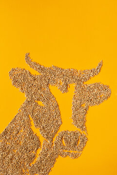 Silhouette of cow head made up of oat grains against orange background