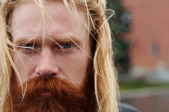Close-up portrait of middle-aged blond man with long ginger beard and moustache looking at camera piercingly  