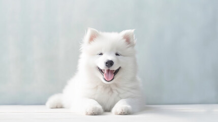 Minimalist Happy Puppy. Blissful Pup.  