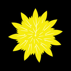 yellow flower on black background