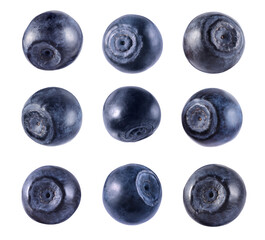 Set with tasty fresh bilberries isolated on white
