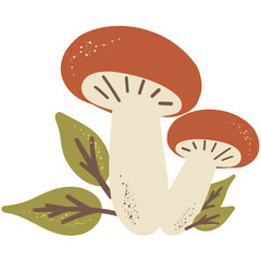 Aesthetic Mushrooms. Cottagecore 