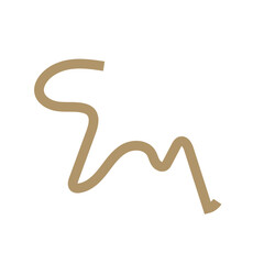 orange brown squiggly doodle lines