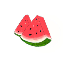 Watermelon Illustration