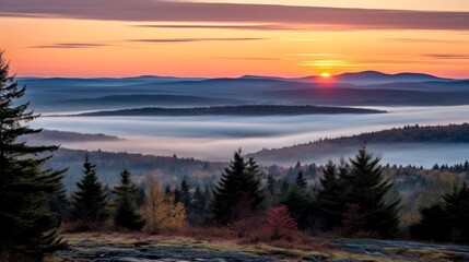 Fototapeta premium Aerial view White clouds in blue sky. Top. View from drone. Aerial bird's eye. Aerial top view cloudscape. Sky background