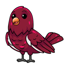 Cute pompadour cotinga bird cartoon