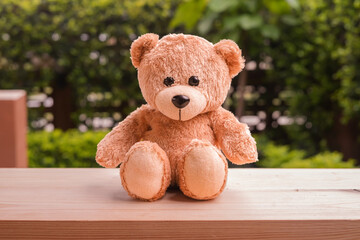 Teddy bear on wood