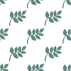 Seamless pattern with leaves monstera - 641549767