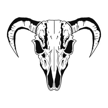 Bull Skull Bone Style icon