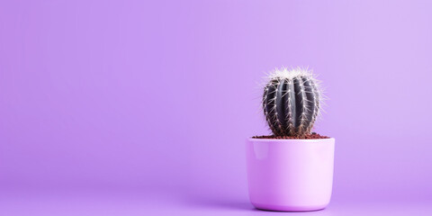cactus free space