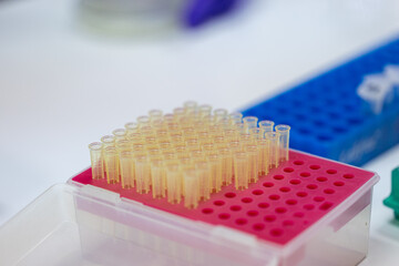 Analysis of bacteria in shrimp in the laboratory.