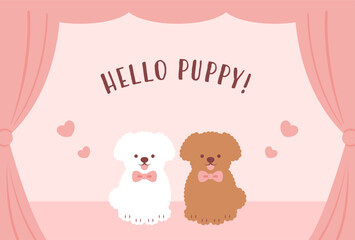 vector background with a pair of Toy Poodles and curtain for banners, cards, flyers, social media wallpapers, etc.