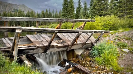 broken bridge in the forest