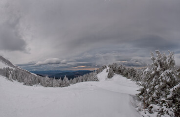 Fototapeta na wymiar Panoramic photo of winter mountains and snow-covered fir trees with dramatic sky