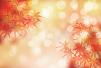 紅葉　もみじ　秋　背景