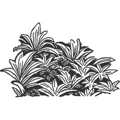 Ominous Forest Vintage Illustration Vector