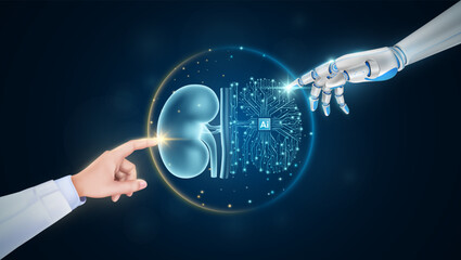 Hand of doctor and robot finger or cyborg artificial intelligence AI touching kidney. Human organ virtual interface. Innovative technology in science medical health care futuristic. 3D Vector.