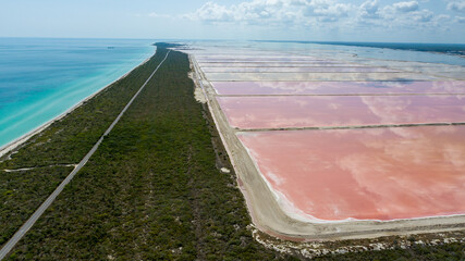 Coloradas Yucatan, Rosa Mexicano, Salinera