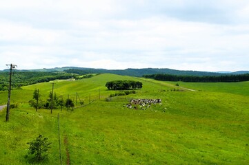 Landscape of 900 Meadow