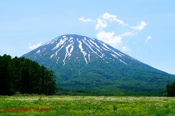 Obraz premium View from Observatory of Fukidashi Park