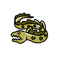 eel moray icon in colors and filled outline style