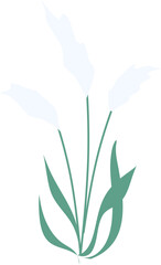 Reed plant Illustration, pond reed clipart, grass clipart 