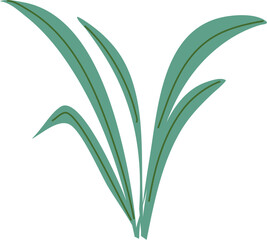 Reed plant Illustration, pond reed clipart, grass clipart 