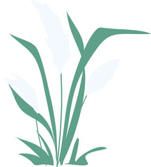 Reed plant Illustration, pond reed clipart, grass clipart  - obrazy, fototapety, plakaty