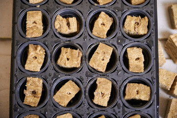 Top view of plastic modular seed tray with soil sponge plugs for planting seeds in greenhouse. Black seed tray with water drops and seed starter plugs in cells.