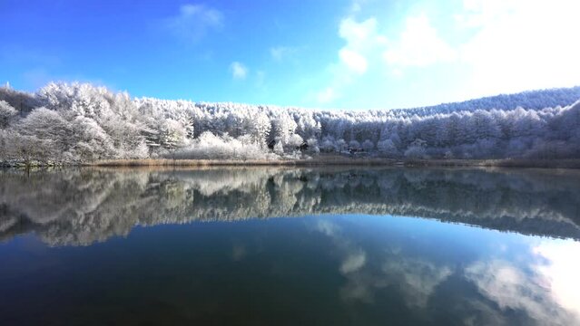 日本の長野県、聖高原の池に映る霧氷の雪景色。