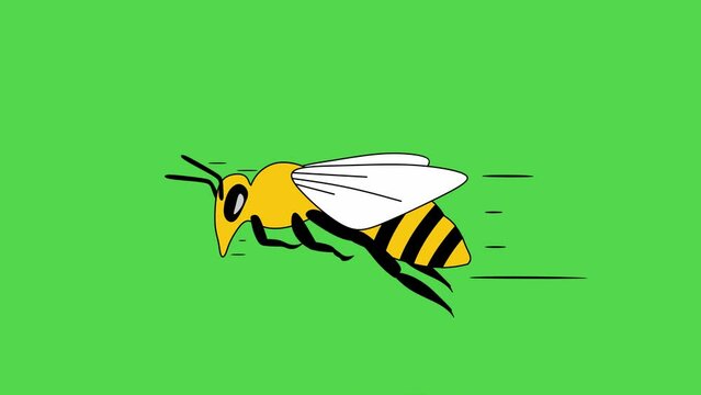 flying bee animation 4K video isolated on green chroma key