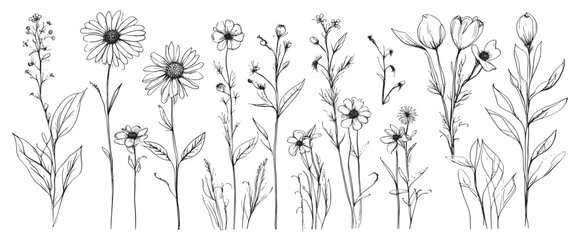 Sketch weeds, herbal, flowers and cereals. Trend elements design. Collection of hand drawn flowers and herbs. Vintage medicinal herbs sketch set ink hand drawn medicinal herbs and plants sketch