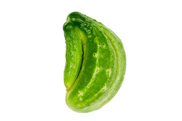 Two fused cucumbers on a white background. Large and small fused cucumbers isolated on a white...