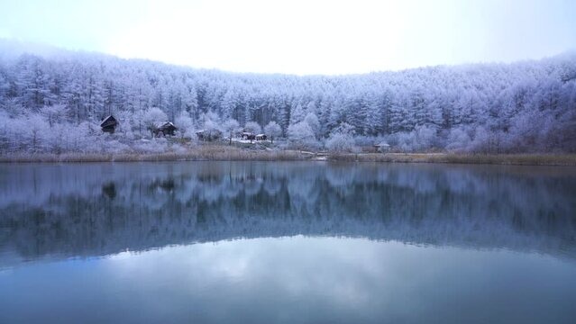 日本の長野県、聖高原の池に映る霧氷の雪景色