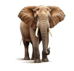 Raamstickers elephant isolated on white © PNG for U