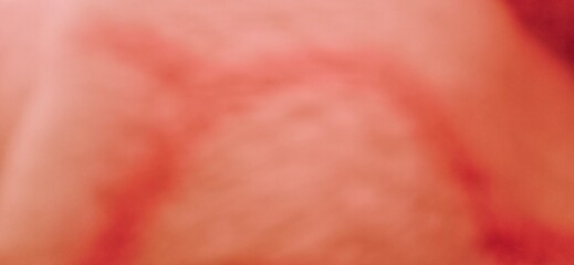 Soft focus abstract blur of bright pink background concept glamor.