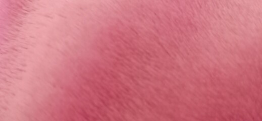 Soft focus abstract blur of bright pink background concept glamor.