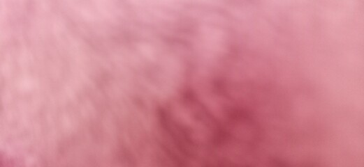 Soft focus abstract blur of bright pink background concept glamor.