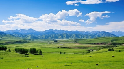 Obraz premium Sweeping vista landscape of the Assy Plateau, a large mountain steppe valley and summer pasture 100km from Almaty, Kazakhstan.