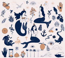 Collection of mythology creatures, mermaid, fortune whell, snake, mystical elements. Editable print art.