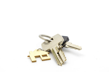 Real estate concept . Key ring and keys on white  background . Copy space
