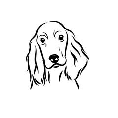 Minimalist line art drawing of cocker spaniel, pets illustration, dogs illustration