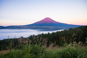 Fototapeta premium 忍野村から富士山と雲海