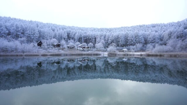 日本の長野県、聖高原の池に映る霧氷の雪景色
