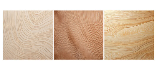 timber balsa wood texture grain illustration pale soft, working lumber, lightweight timber balsa wood texture grain