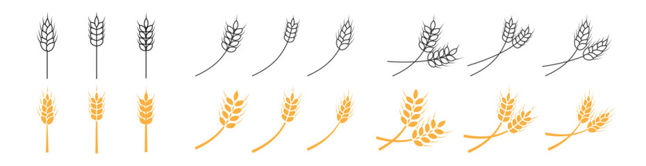 wheat icon farm agriculture rice field